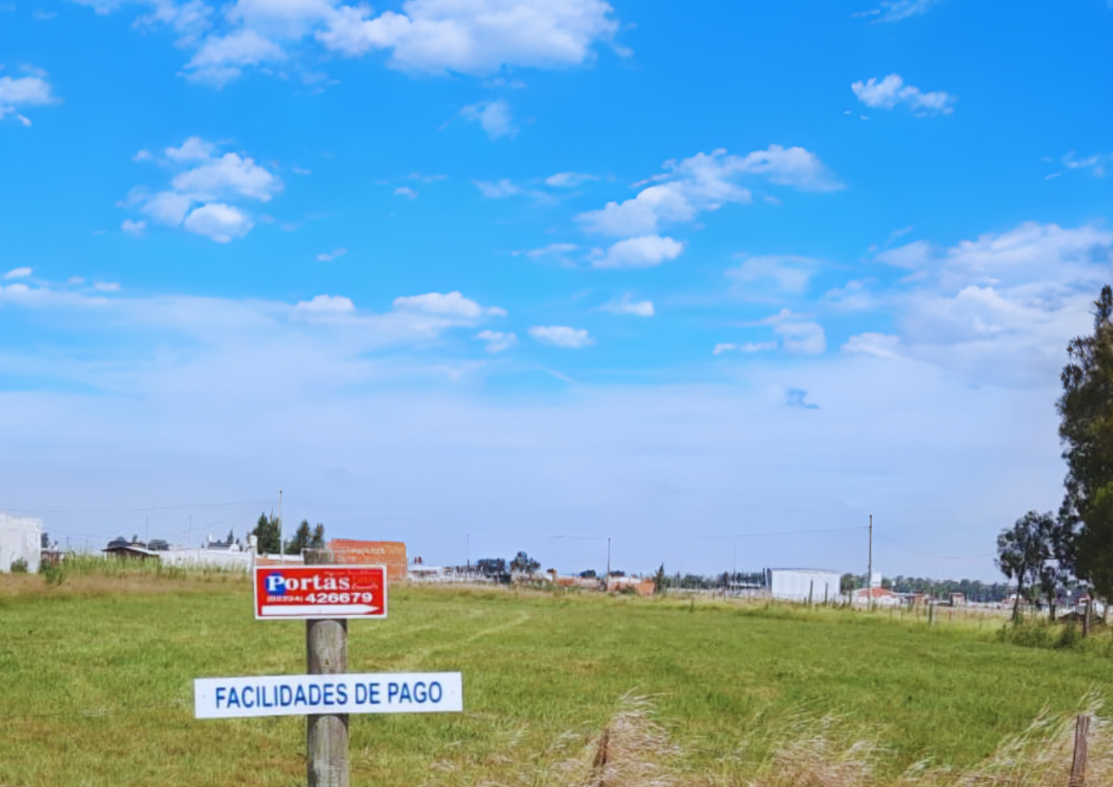 Domselaar, Provincia de Buenos Aires